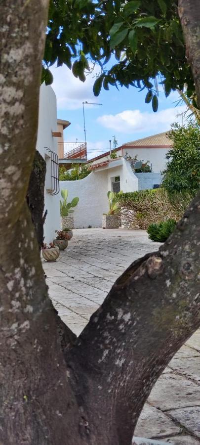 Voscenza Benerica Villa Vittoria Luaran gambar